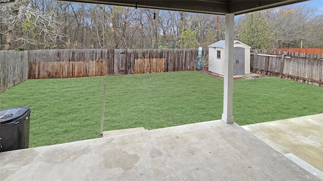 view of yard featuring a patio area and a storage shed