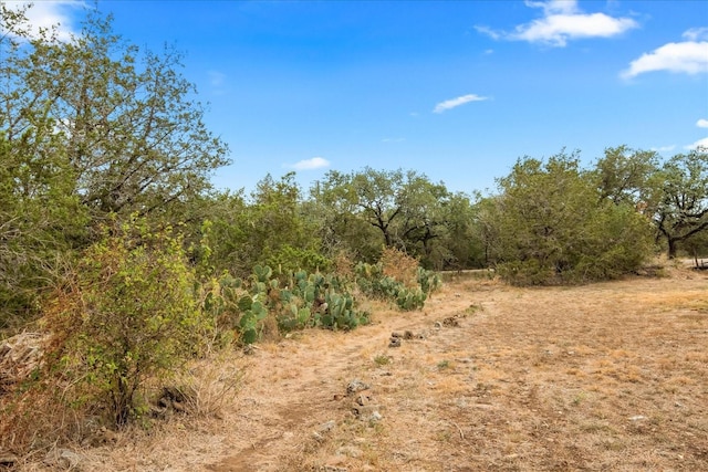 view of nature