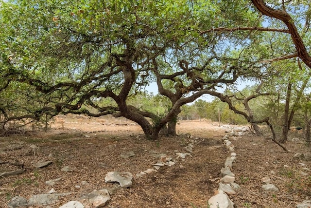 view of nature