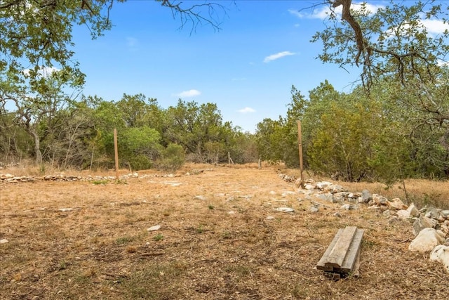 view of local wilderness