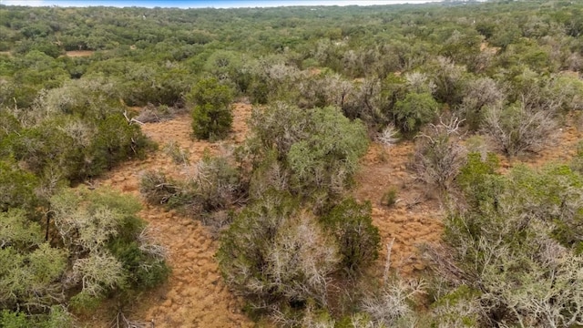 bird's eye view featuring a wooded view