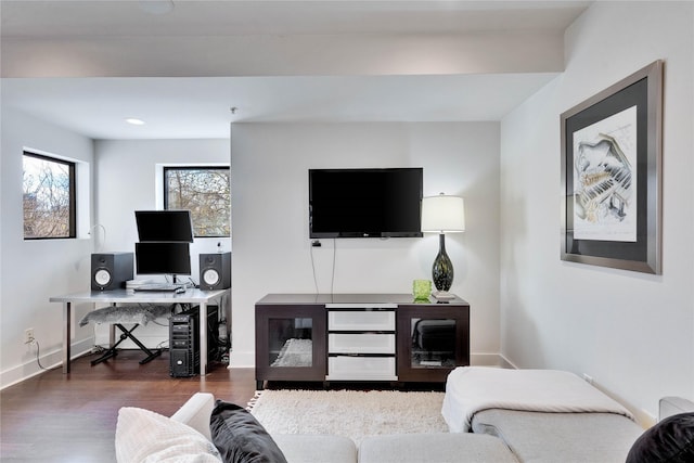 living room featuring dark hardwood / wood-style flooring