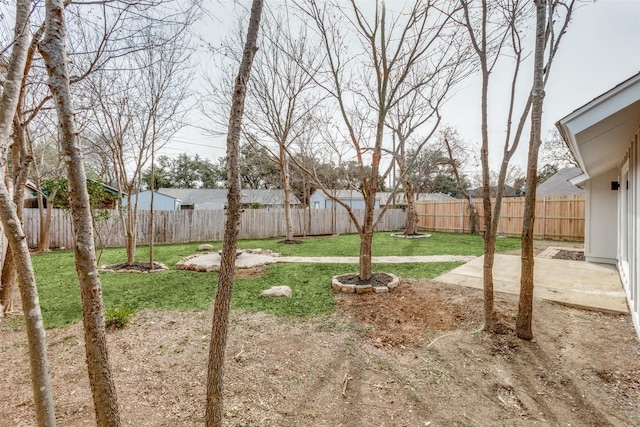 view of yard featuring a patio area