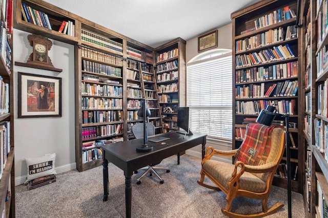 view of carpeted office