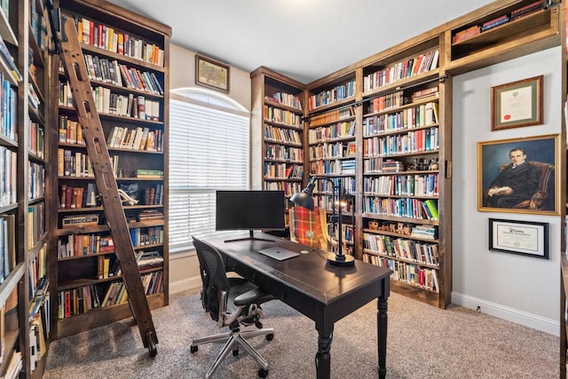 home office featuring carpet floors