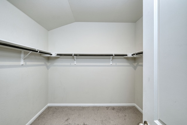 walk in closet featuring vaulted ceiling and carpet