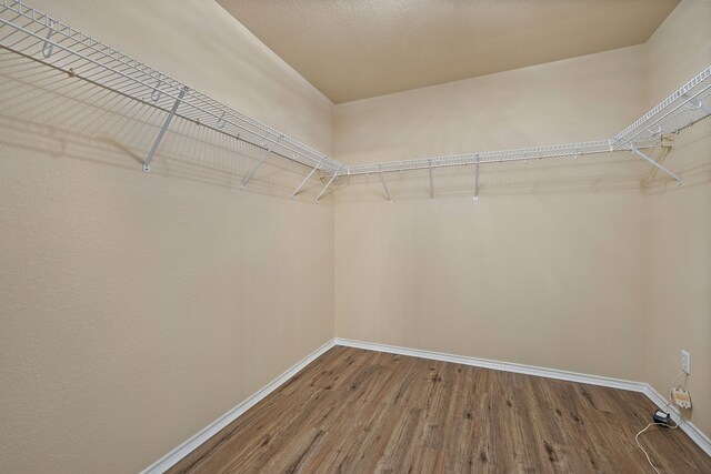 spacious closet featuring wood-type flooring