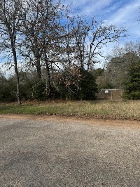 Listing photo 2 for LOT95 Travis Rd, Paige TX 78659