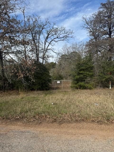 Listing photo 3 for LOT95 Travis Rd, Paige TX 78659