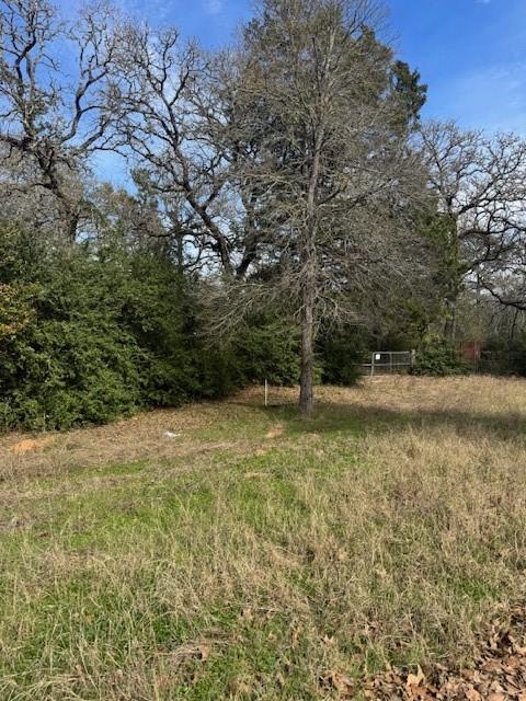 306 Travis Rd, Paige TX, 78659 land for sale