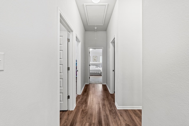 corridor featuring dark wood-type flooring