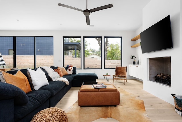 living room with ceiling fan and light hardwood / wood-style flooring