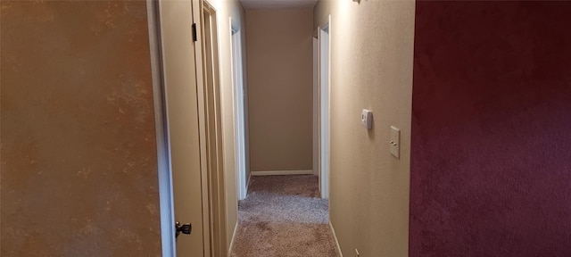 hallway featuring light colored carpet