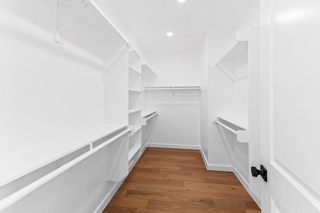 spacious closet featuring dark hardwood / wood-style flooring