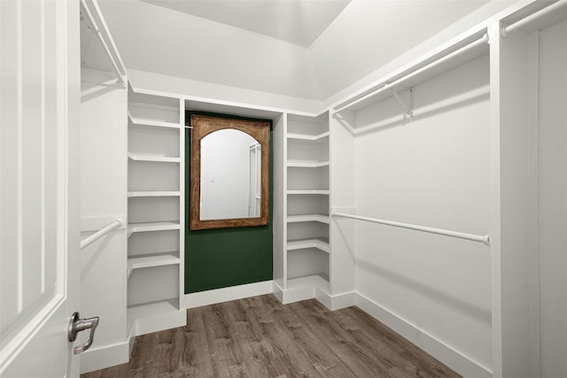 walk in closet featuring hardwood / wood-style flooring