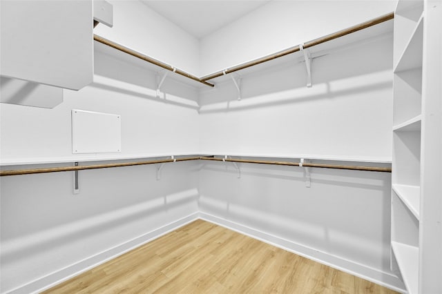 walk in closet with light wood finished floors