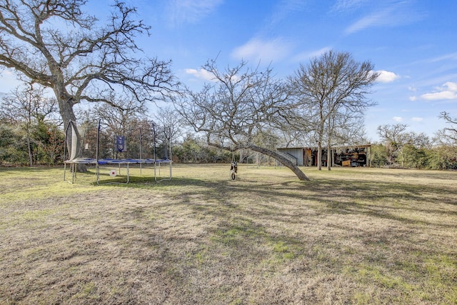 view of yard with a trampoline