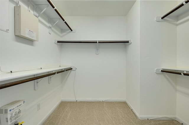 19609 Drifting Meadows Dr, Pflugerville, TX 78660 - spacious closet featuring light colored carpet