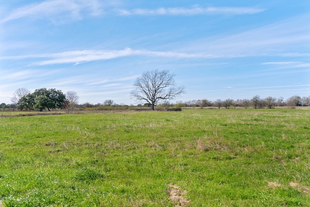 view of yard featuring a rural view