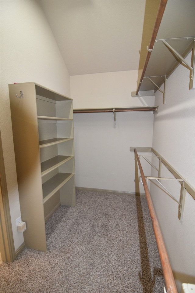 walk in closet featuring carpet and lofted ceiling