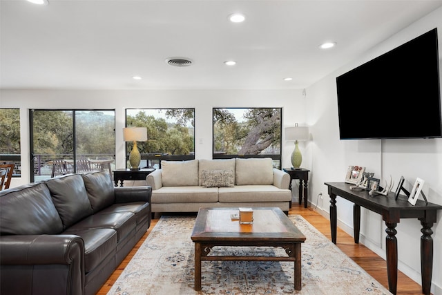 living room featuring light hardwood / wood-style floors