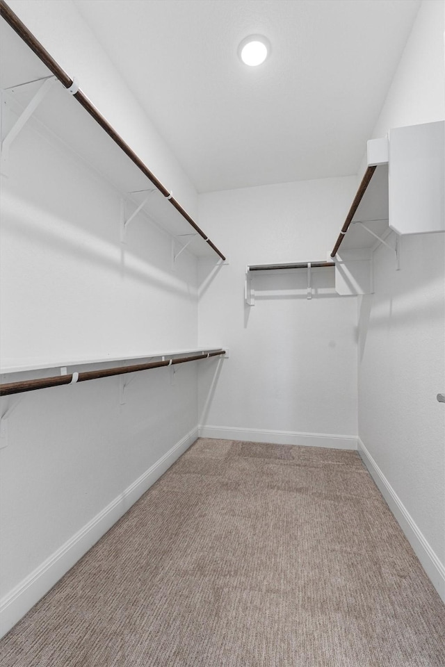 spacious closet with light colored carpet