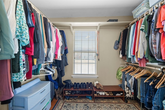 view of walk in closet