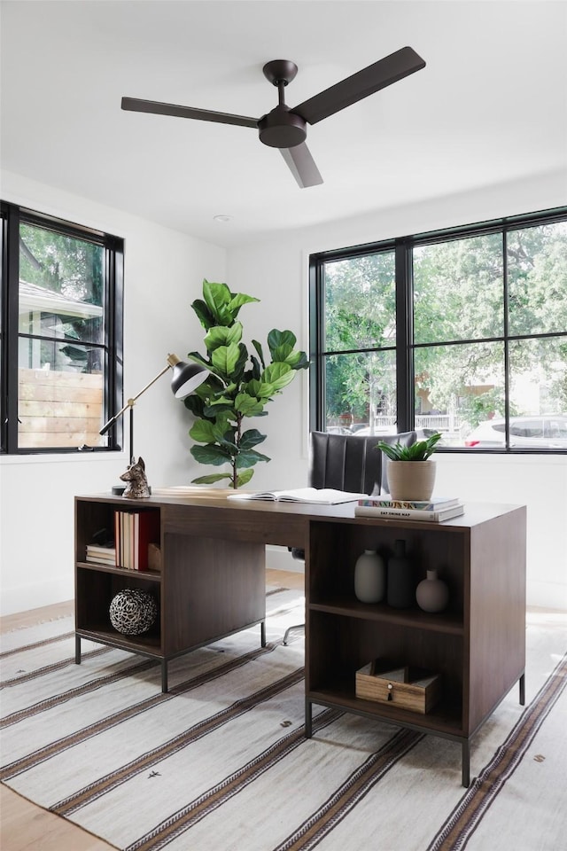 home office featuring ceiling fan and light hardwood / wood-style floors