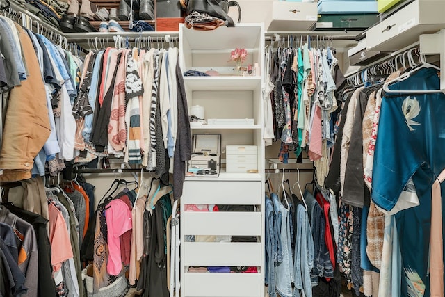 view of spacious closet