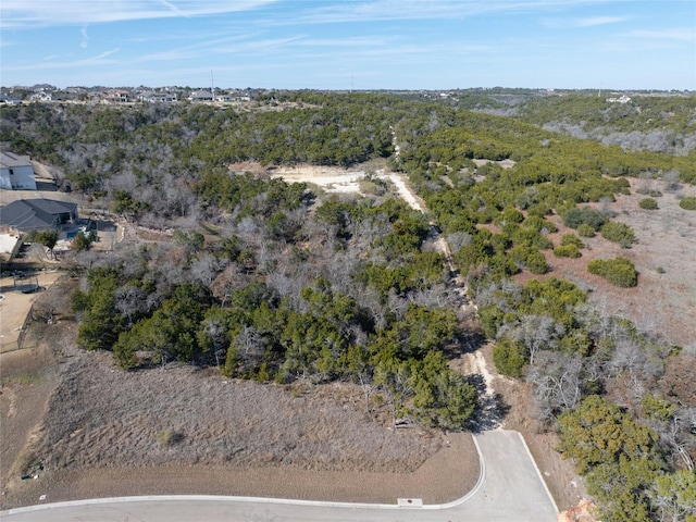 905 Rare Cat St, Leander TX, 78641 land for sale