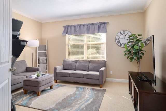 carpeted living room with crown molding