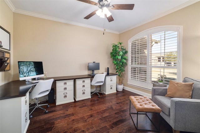 home office featuring ceiling fan, crown molding, and dark hardwood / wood-style floors