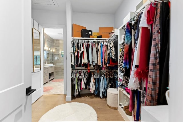 walk in closet featuring light wood-type flooring