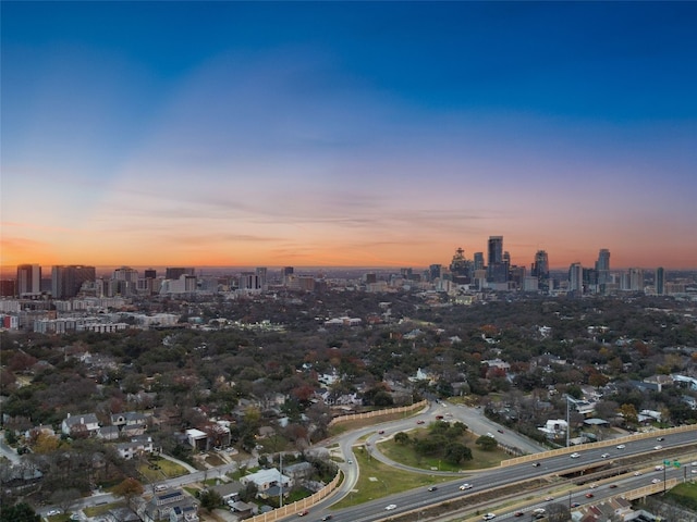 2102 Bowman Ave, Austin, TX 78703 - photo 36