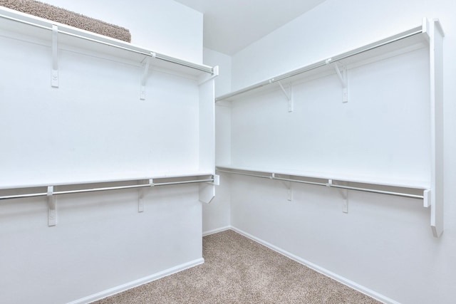 walk in closet with light carpet