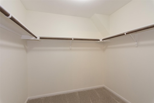 spacious closet with carpet