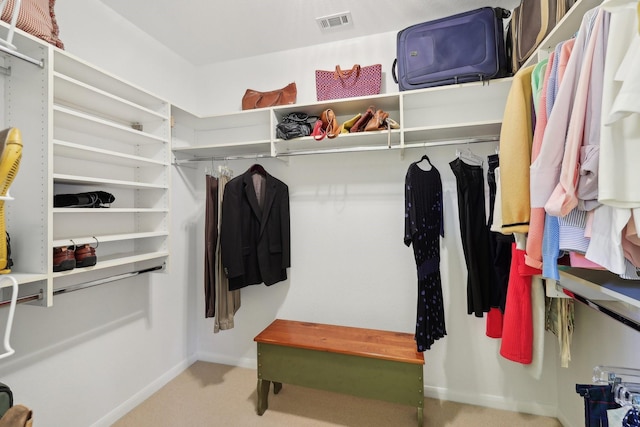 spacious closet featuring carpet