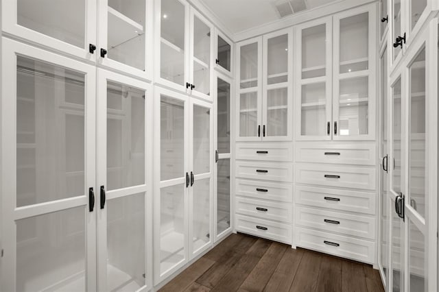 spacious closet featuring dark wood-type flooring