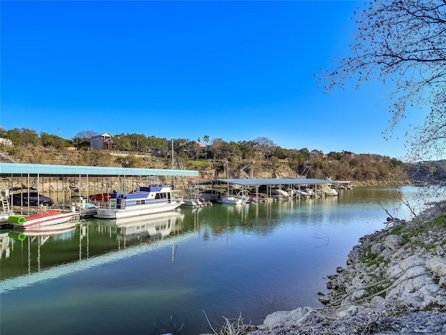 dock area with a water view