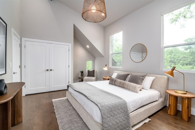 bedroom featuring lofted ceiling and dark hardwood / wood-style floors