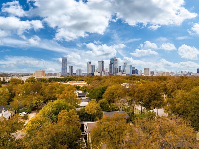 1808 Riverview St Unit B, Austin, TX 78702 - skyline view with a tree filled landscape