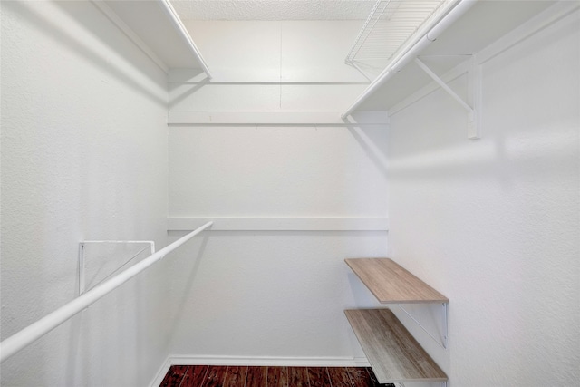 spacious closet featuring dark hardwood / wood-style floors