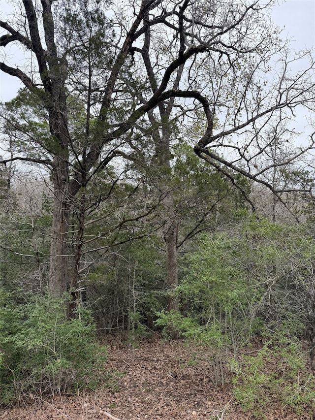 000 Wailupe Cir, Bastrop TX, 78602 land for sale