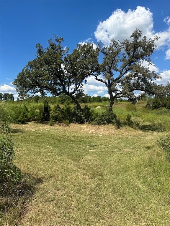 210 Long Trl, Smithville TX, 78957 land for sale