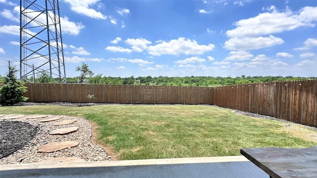 376 Spider Lily Dr, Kyle, TX 78640 - view of yard
