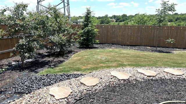 376 Spider Lily Dr, Kyle, TX 78640 - view of yard