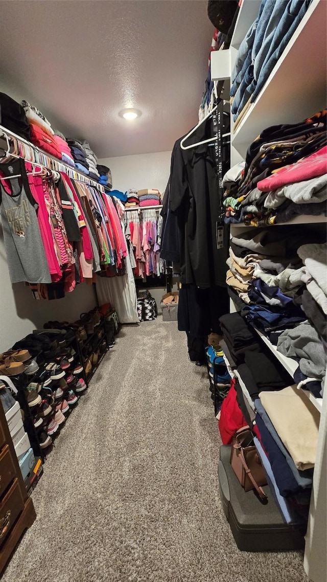 spacious closet featuring carpet