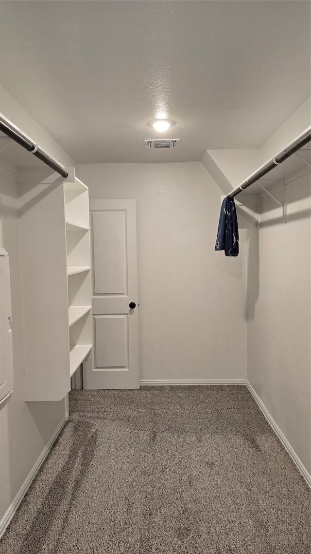 116 Shagbark Dr, Bastrop, TX 78602 - walk in closet featuring carpet floors