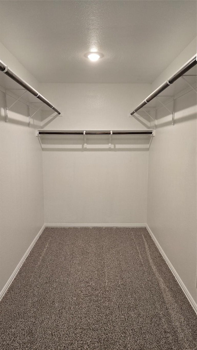 walk in closet featuring carpet floors