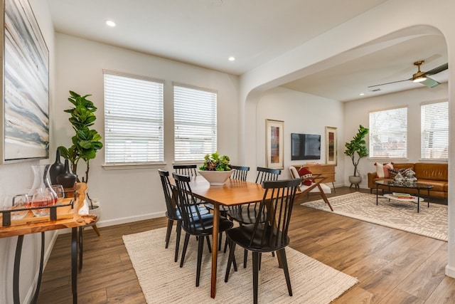 dining area featuring a wealth of natural light, wood-type flooring, and ceiling fan